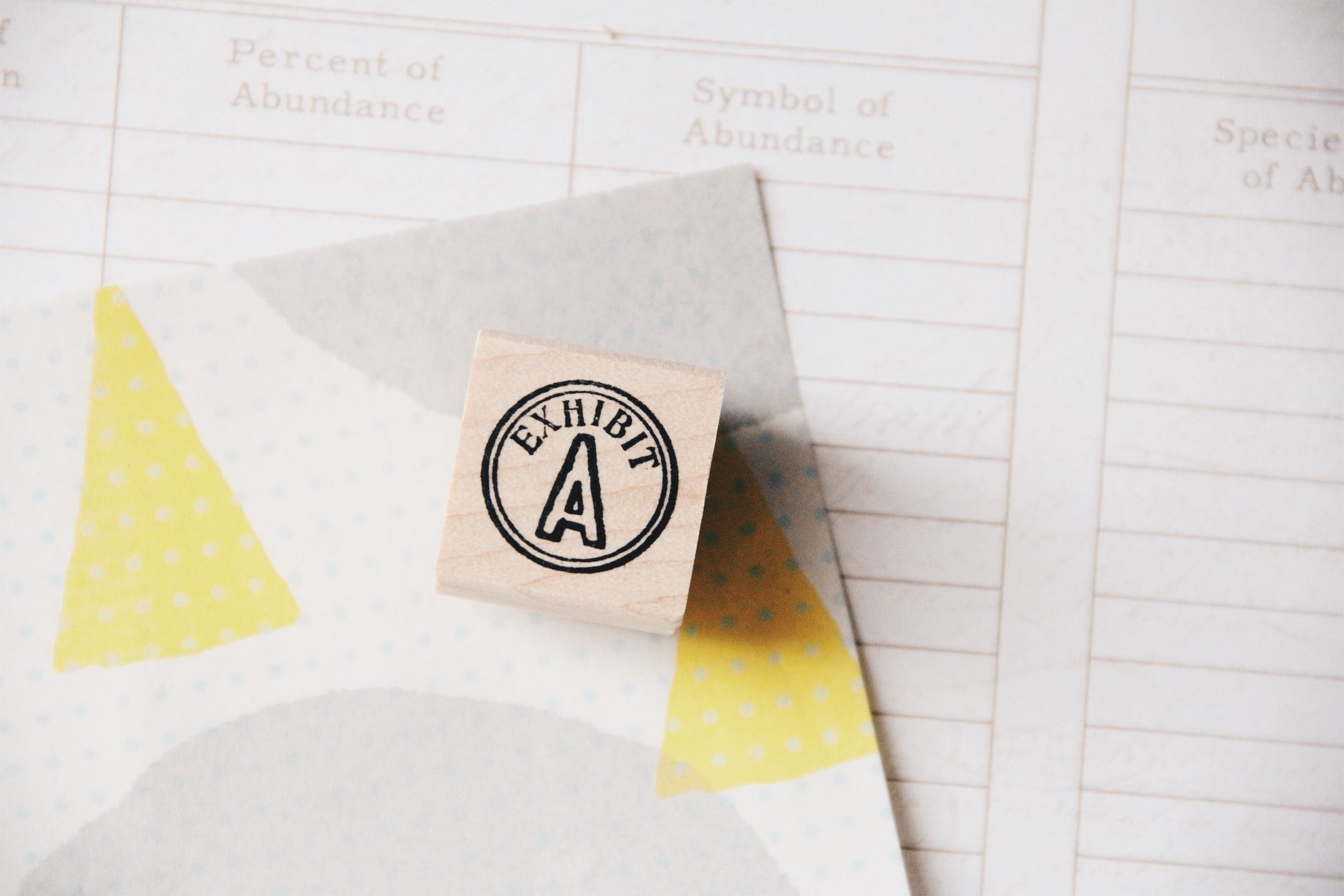 Catslife Press Exhibit A Rubber Stamp - Smidapaper Ikigai Shop