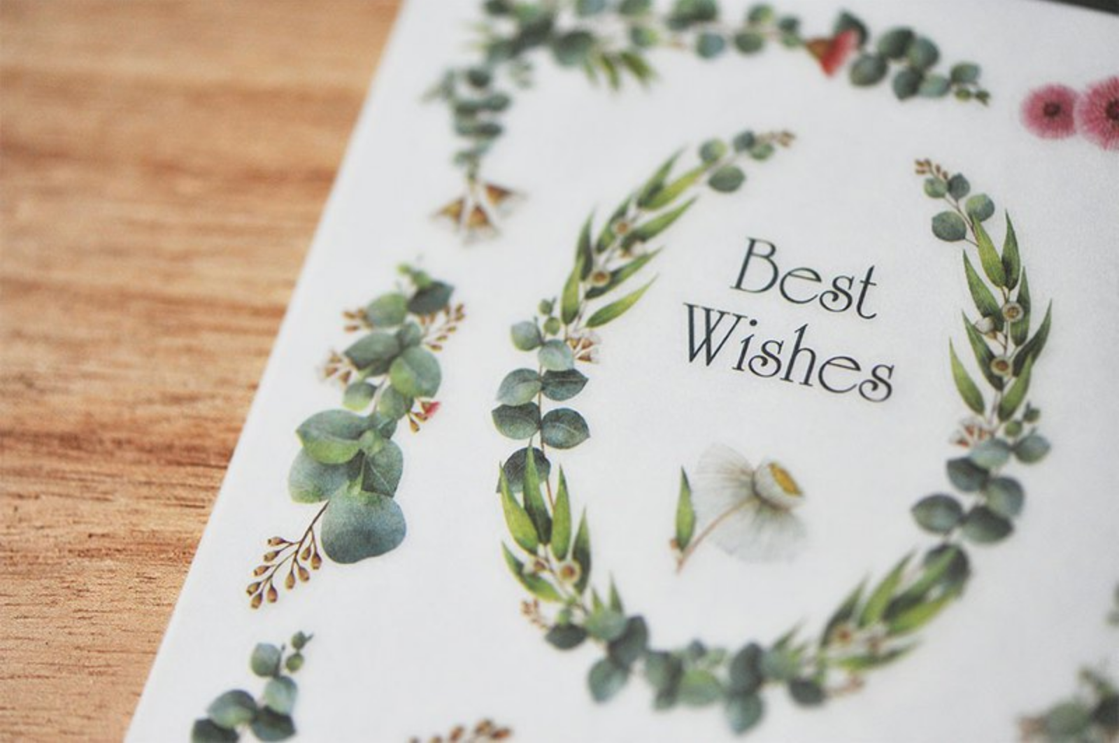 MU Print-On Stickers-030 Eucalyptus - Smidapaper Ikigai Shop
