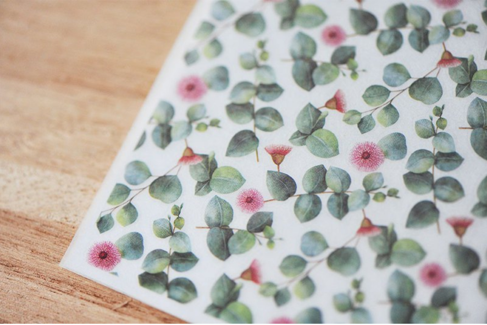 MU Print-On Stickers-030 Eucalyptus - Smidapaper Ikigai Shop