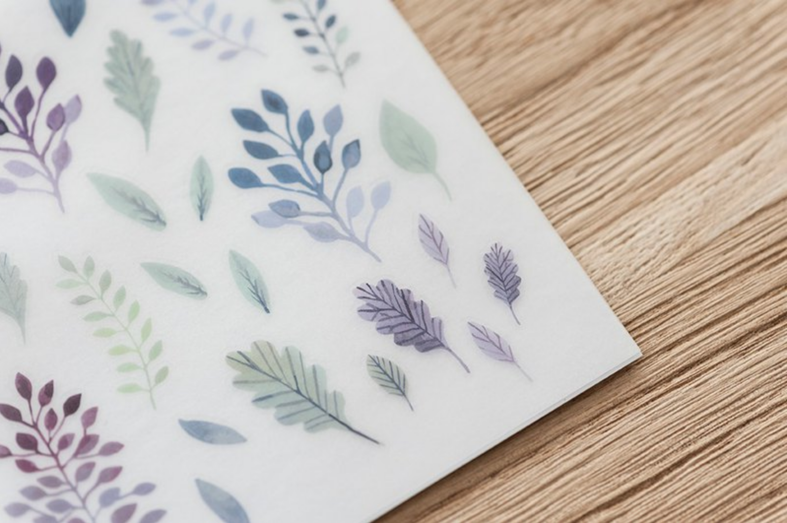MU Print-On Stickers-014 Byblis Liniflora - Smidapaper Ikigai Shop