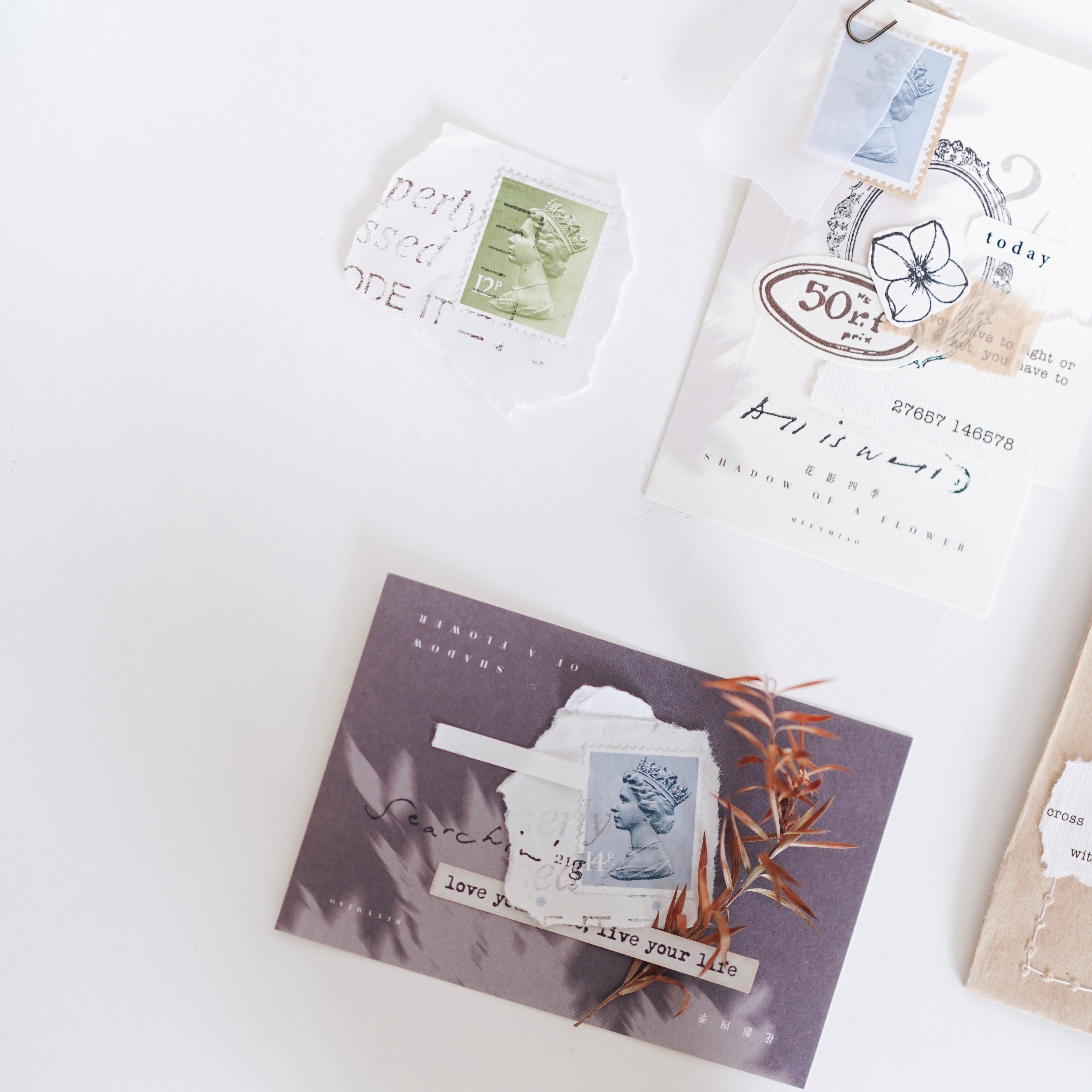 Heeymiao Shadow of a Flower Notepaper (4 designs)