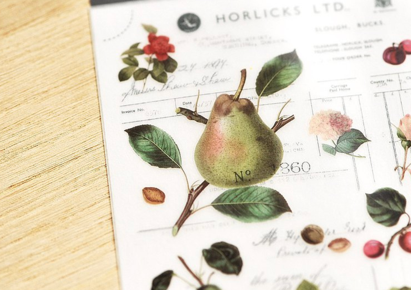 MU Print-On Stickers-126 Botanical Anatomy - Smidapaper Ikigai Shop