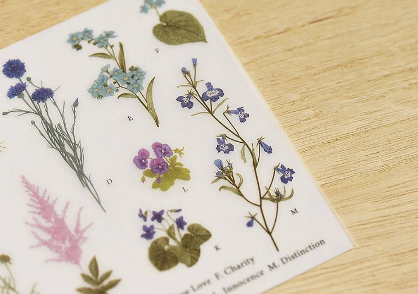 MU Print-On Stickers-127 Pressed Blooms - Smidapaper Ikigai Shop