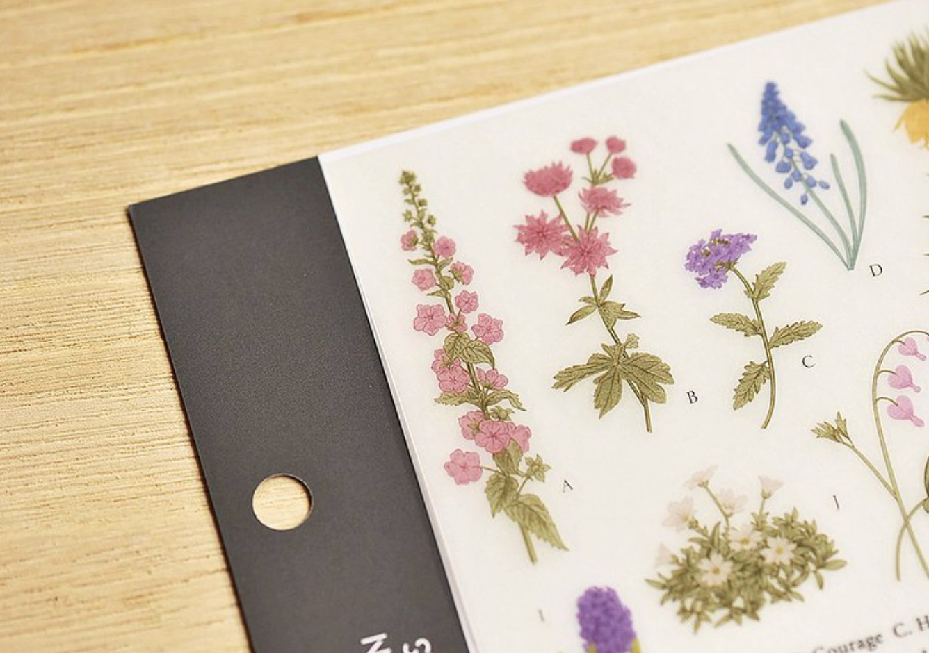 MU Print-On Stickers-127 Pressed Blooms - Smidapaper Ikigai Shop