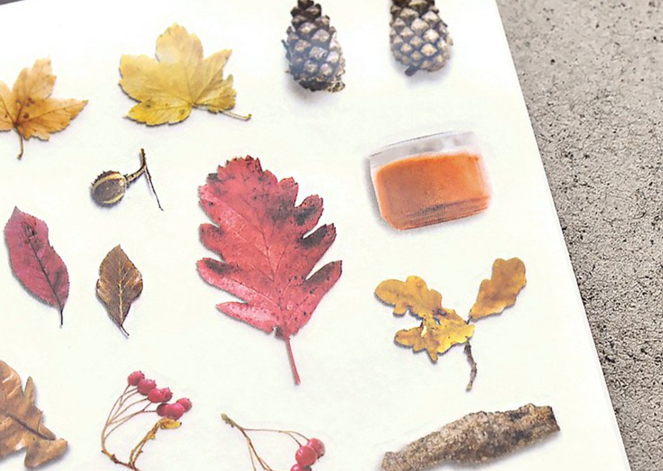 MU Print-On Stickers-139 Autumn Mood Board - Smidapaper Ikigai Shop