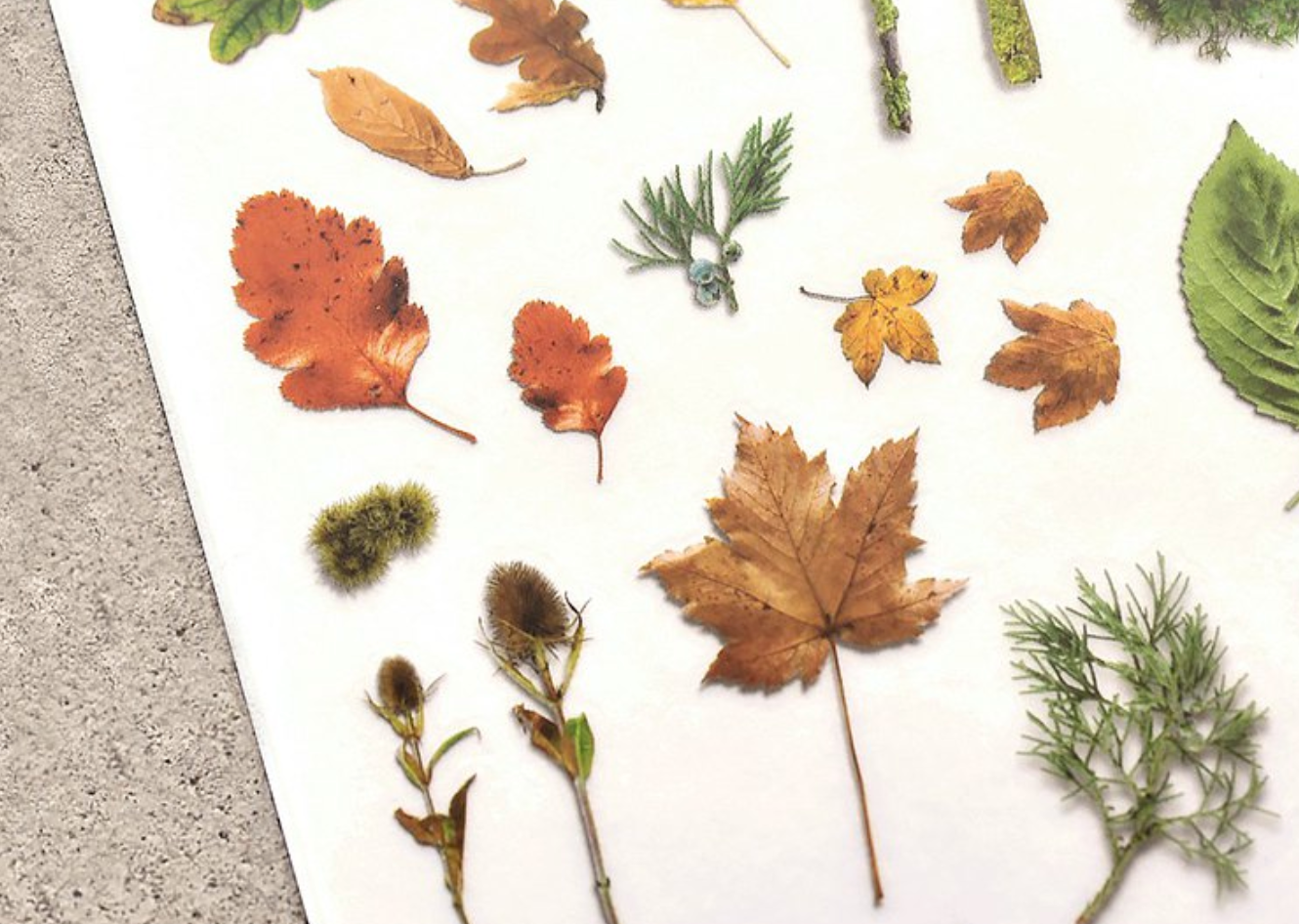 MU Print-On Stickers-139 Autumn Mood Board - Smidapaper Ikigai Shop