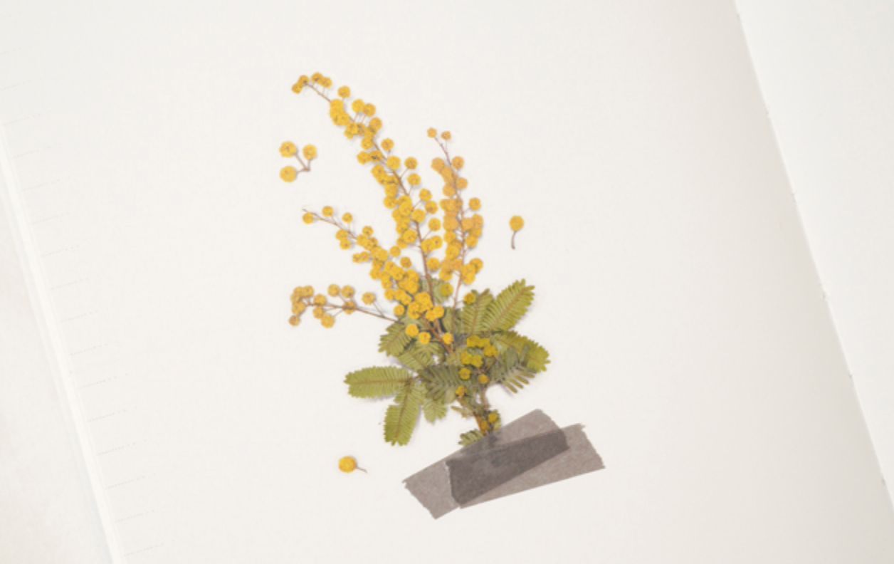 Appree Pressed Stickers- 024 Mimosa - Smidapaper Ikigai Shop