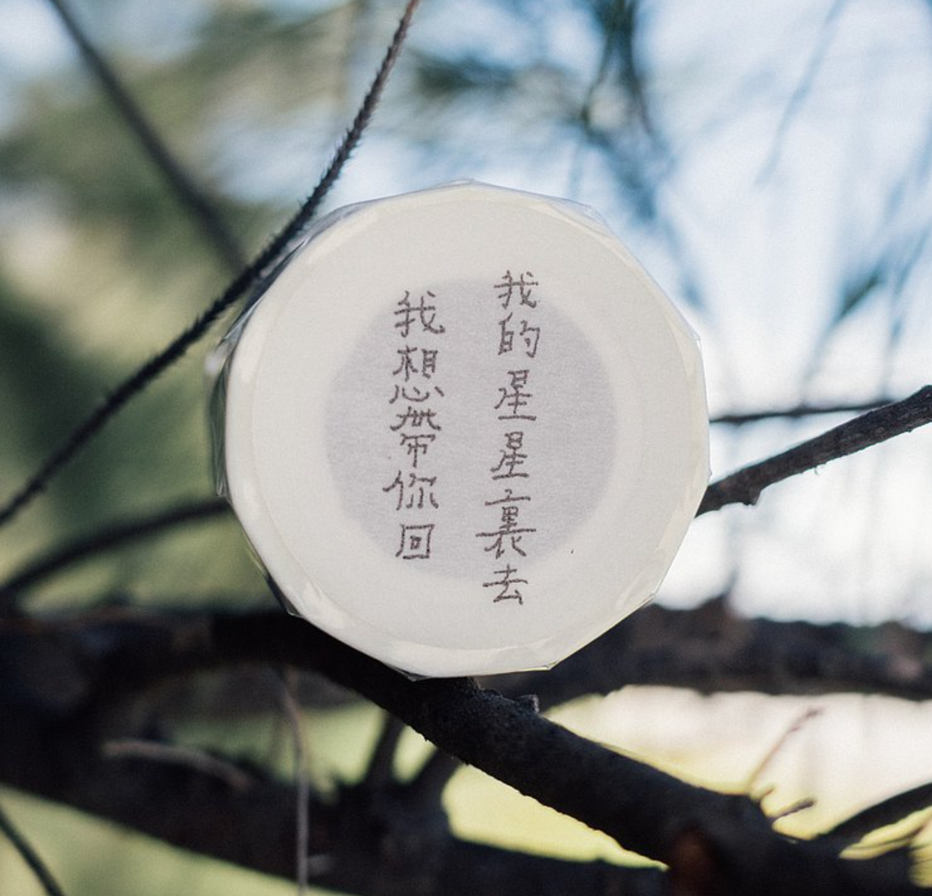 La Dolce Vita Life is Beautiful Washi Tape - I want to take you to my star - Smidapaper Ikigai Shop