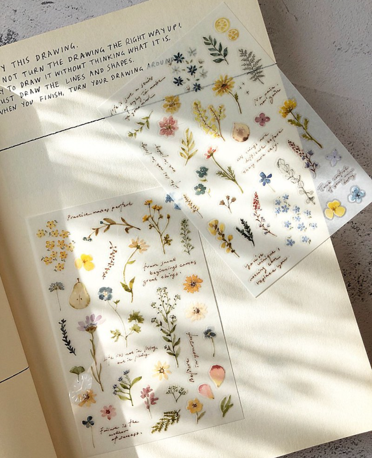 Pion Flower and Plants Transfer Sticker (Pack of 2) - Smidapaper Ikigai Shop