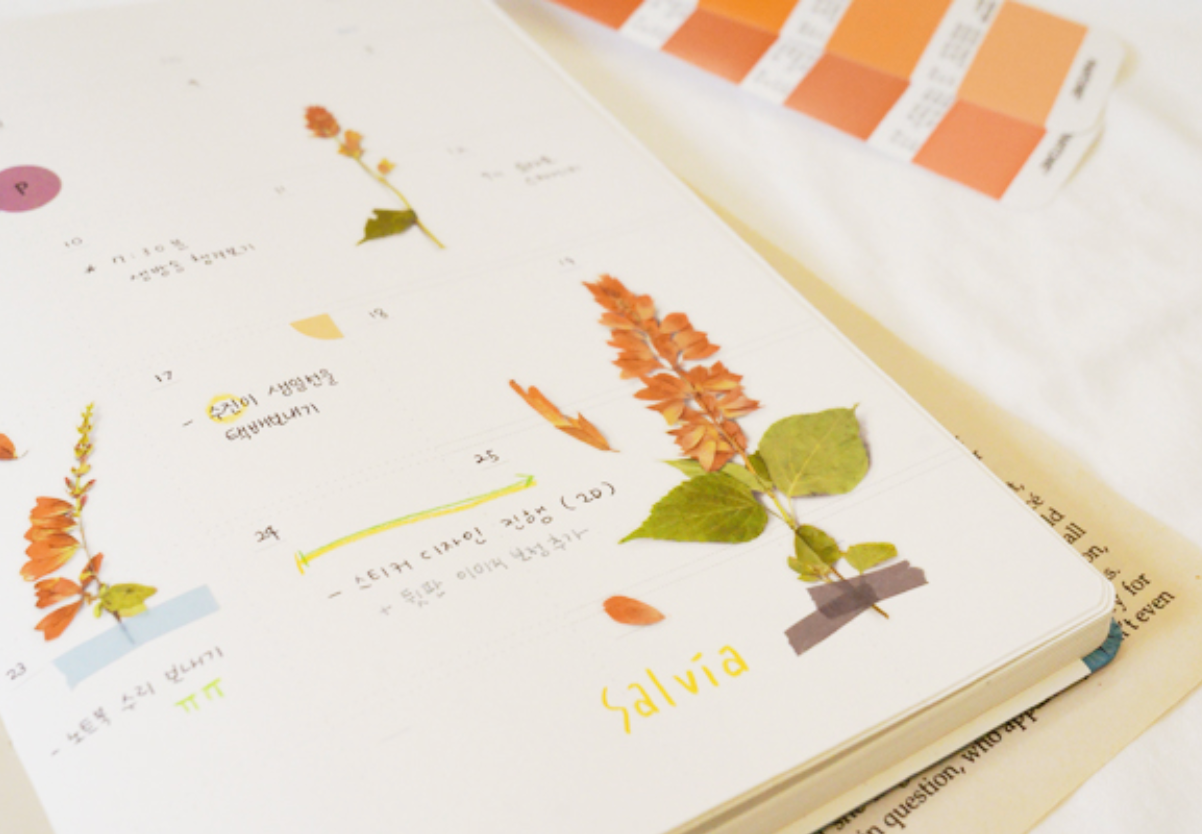 Appree Pressed Stickers- 025 Salvia - Smidapaper Ikigai Shop