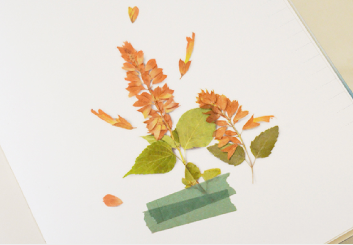 Appree Pressed Stickers- 025 Salvia - Smidapaper Ikigai Shop