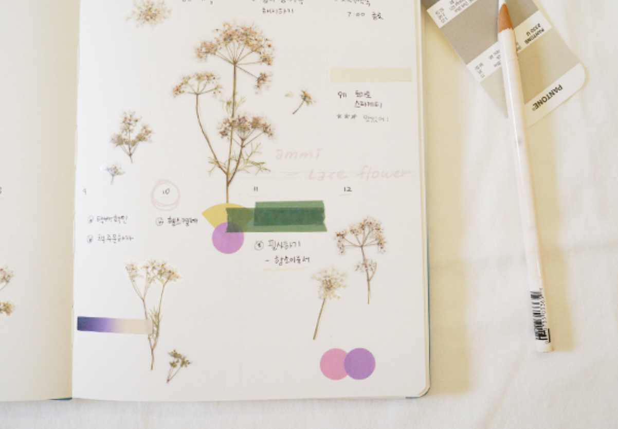 Appree Pressed Stickers- 027 Lace Flower - Smidapaper Ikigai Shop