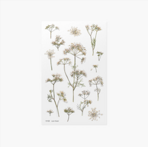 Appree Pressed Stickers- 027 Lace Flower - Smidapaper Ikigai Shop