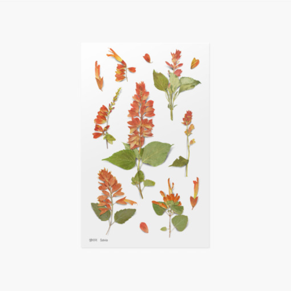 Appree Pressed Stickers- 025 Salvia - Smidapaper Ikigai Shop