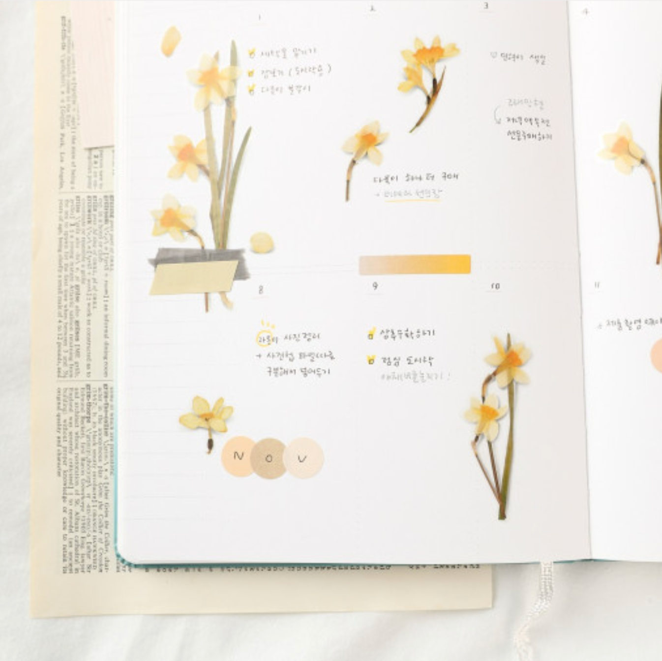 Appree Pressed Stickers- 029 Narcissus - Smidapaper Ikigai Shop