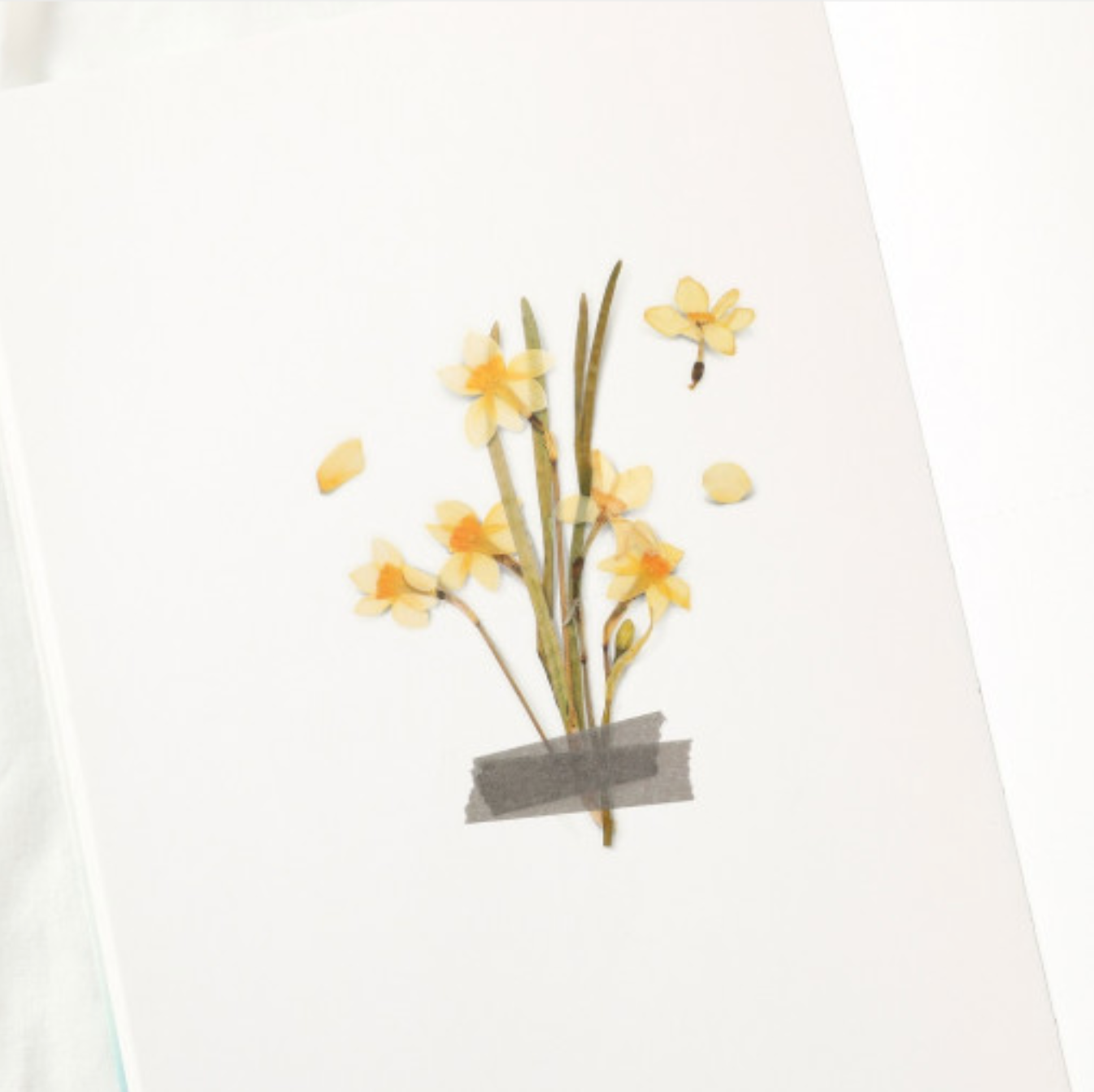 Appree Pressed Stickers- 029 Narcissus - Smidapaper Ikigai Shop