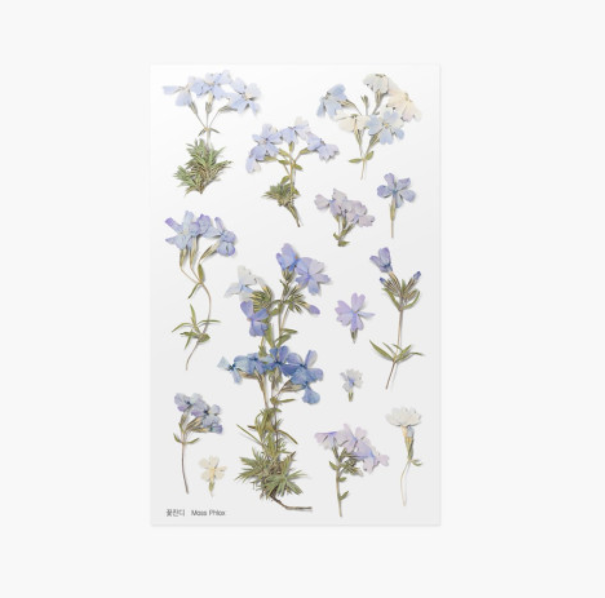 Appree Pressed Stickers- 030 Moss Phlox - Smidapaper Ikigai Shop