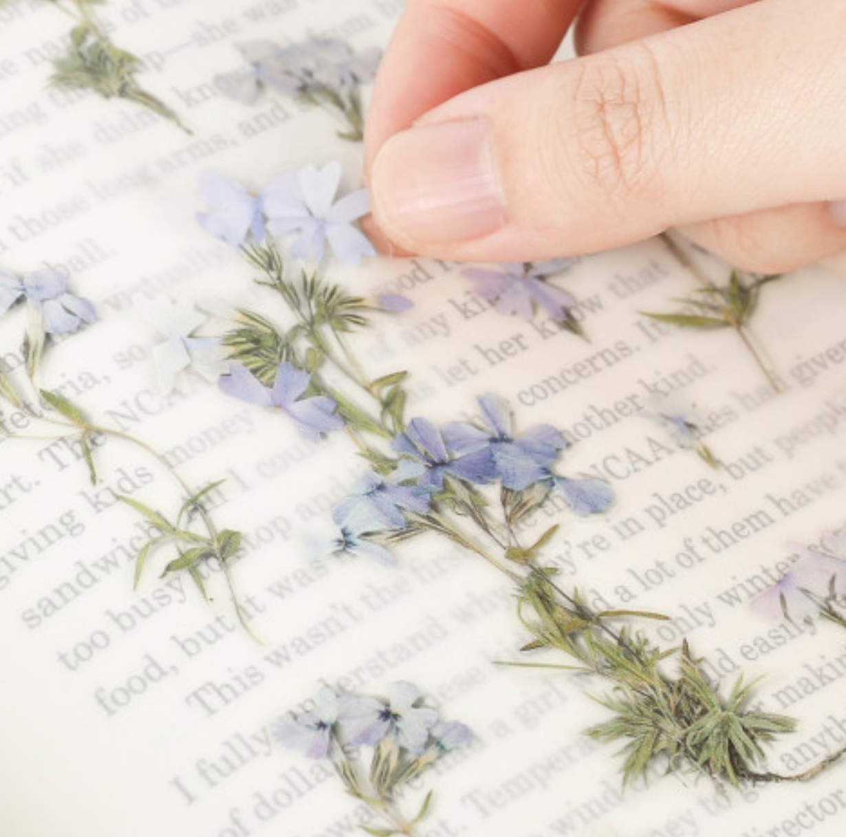 Appree Pressed Stickers- 030 Moss Phlox - Smidapaper Ikigai Shop