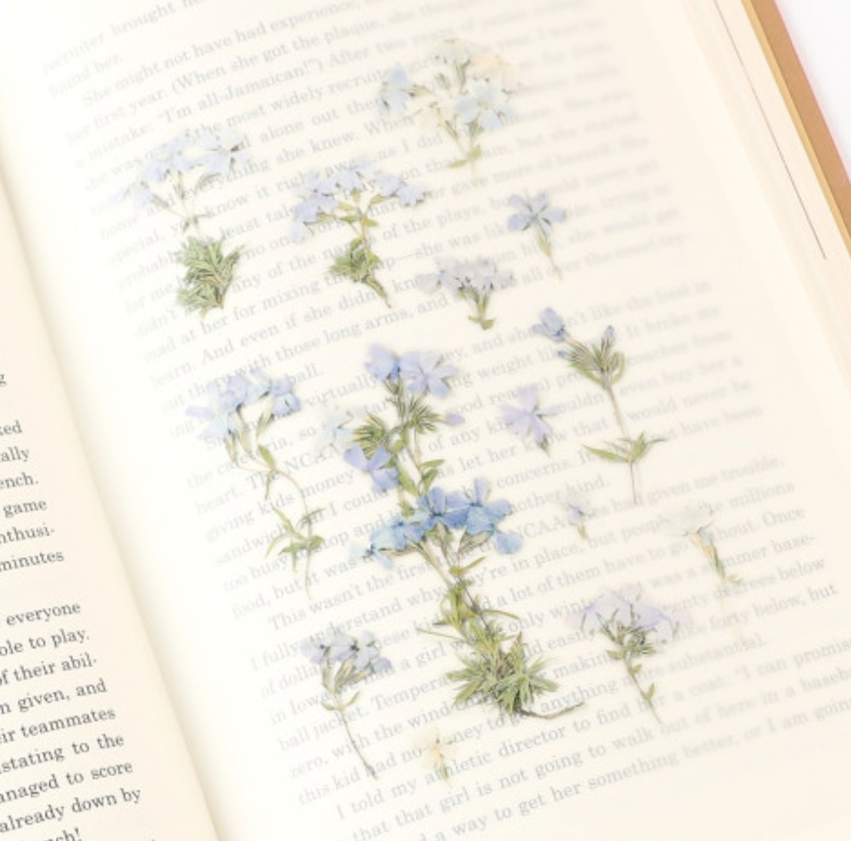 Appree Pressed Stickers- 030 Moss Phlox - Smidapaper Ikigai Shop
