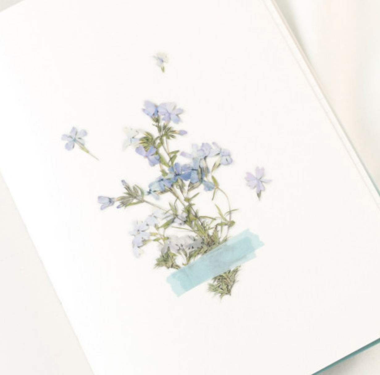 Appree Pressed Stickers- 030 Moss Phlox - Smidapaper Ikigai Shop