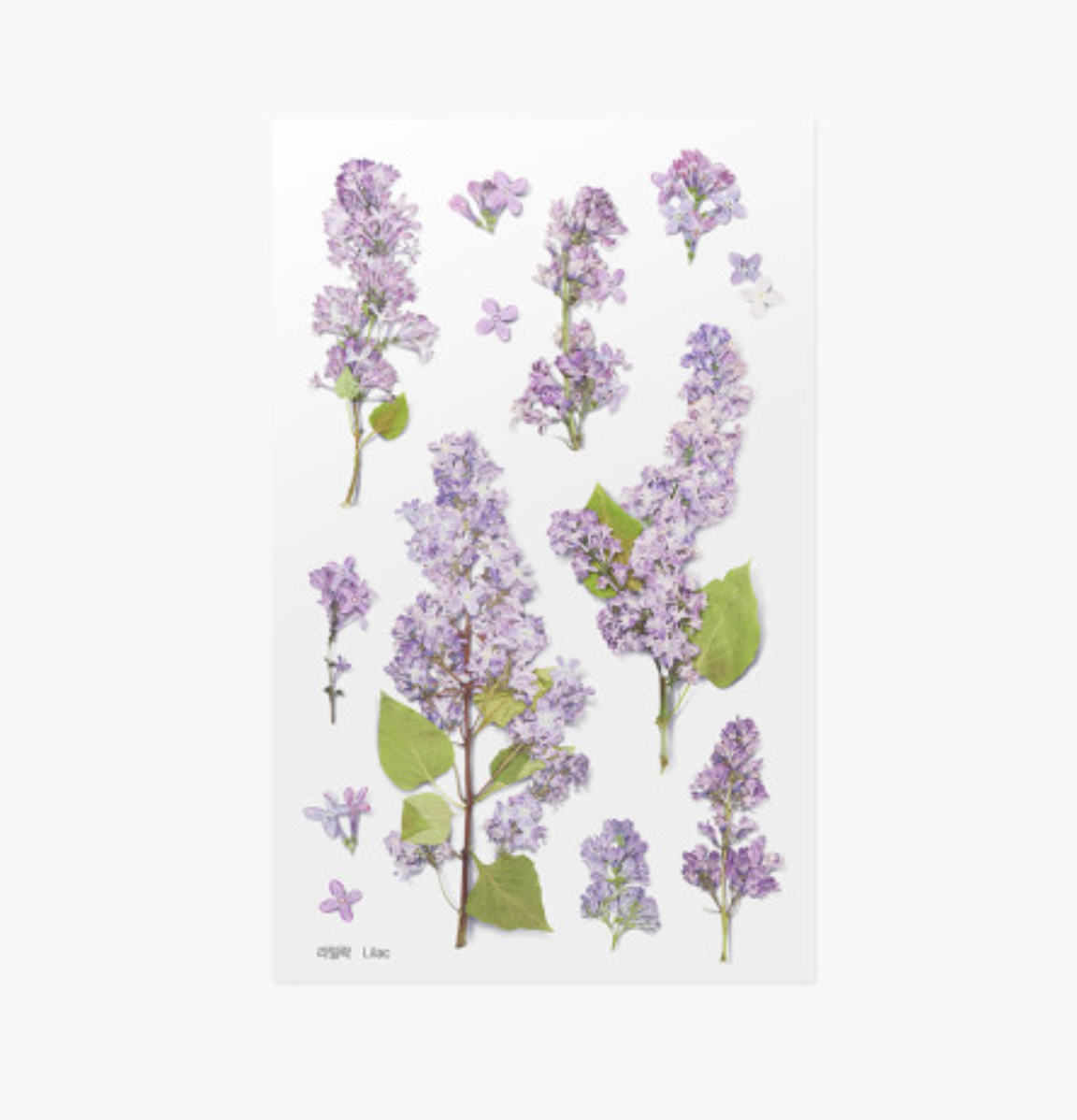 Appree Pressed Stickers- 033 Lilac - Smidapaper Ikigai Shop