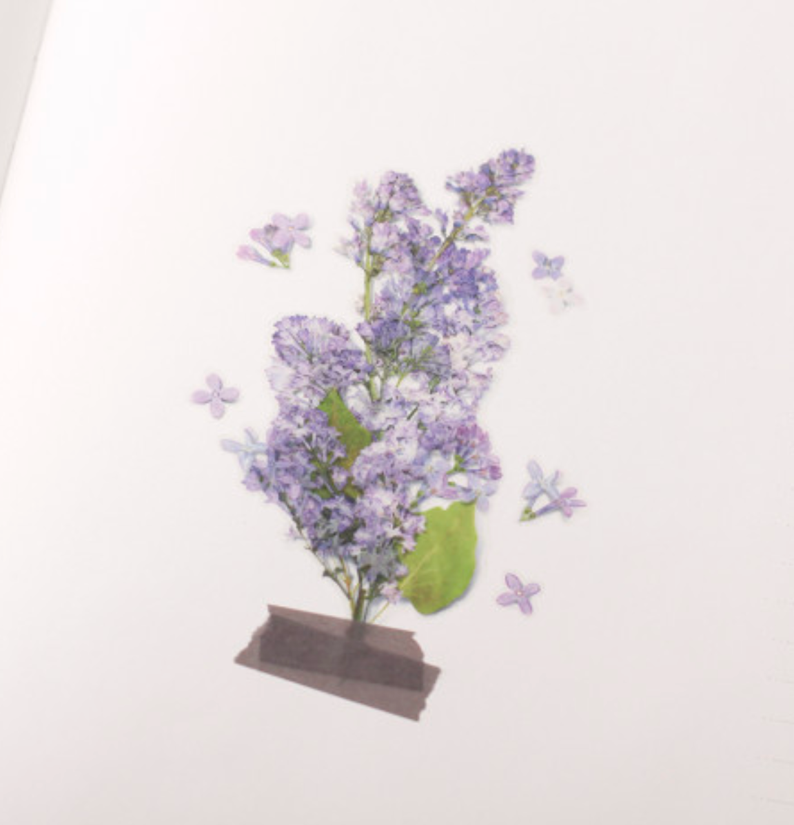 Appree Pressed Stickers- 033 Lilac - Smidapaper Ikigai Shop