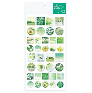 Mindwave Sheer Photo Point Stickers: Green - Smidapaper Ikigai Shop