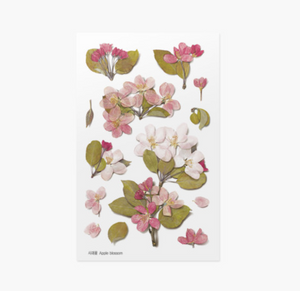 Appree Pressed Stickers- 034 Apple Blossom - Smidapaper Ikigai Shop