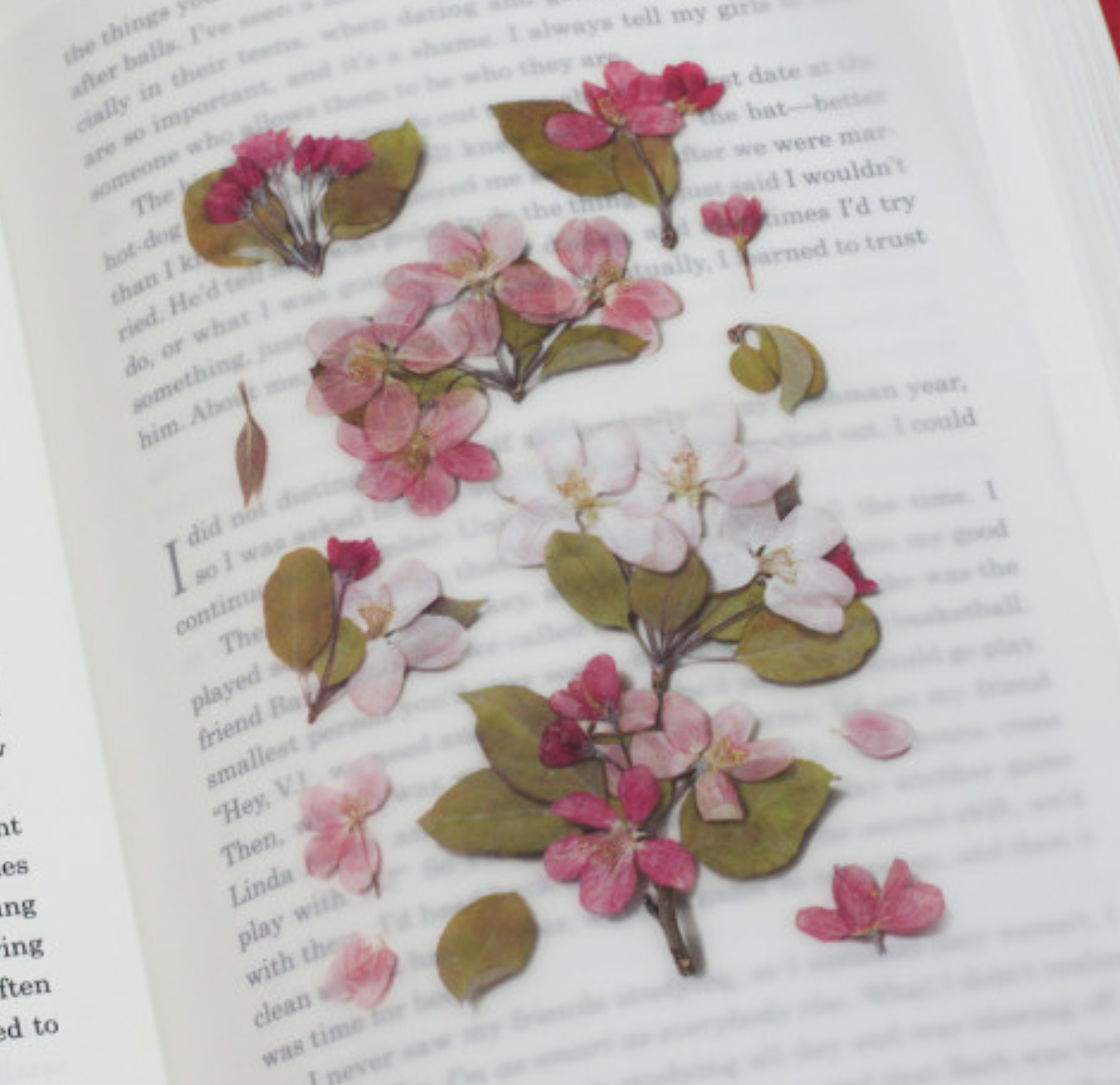 Appree Pressed Stickers- 034 Apple Blossom - Smidapaper Ikigai Shop