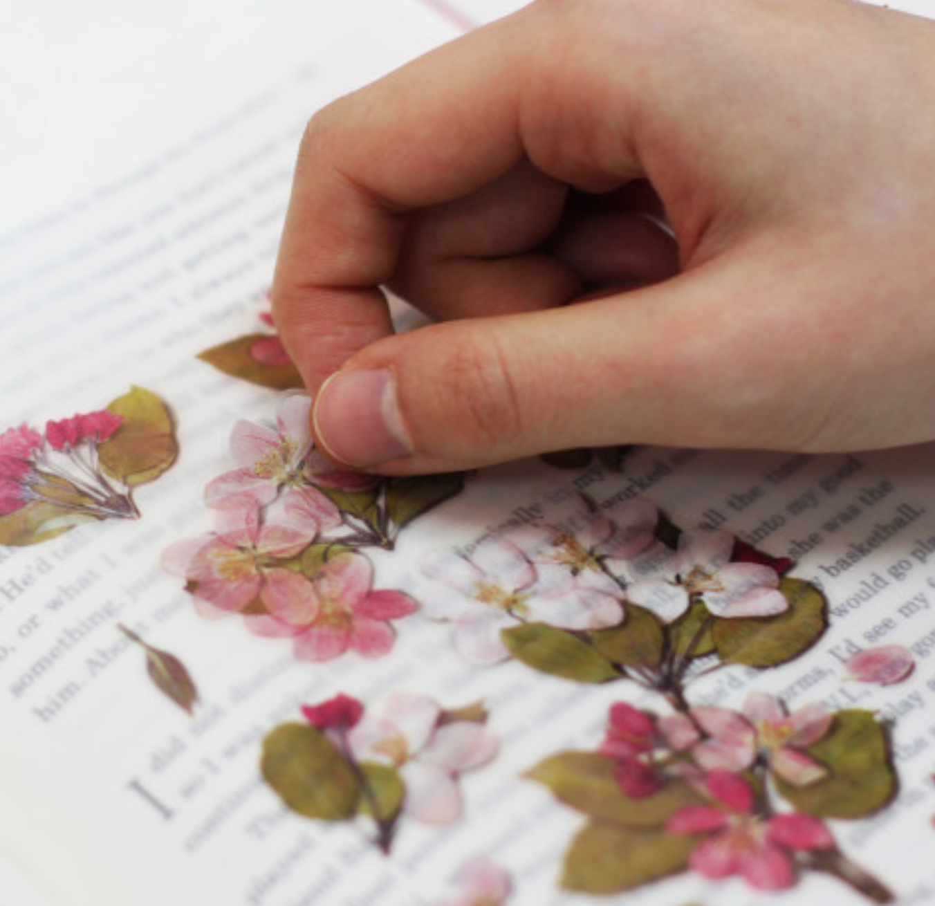 Appree Pressed Stickers- 034 Apple Blossom - Smidapaper Ikigai Shop