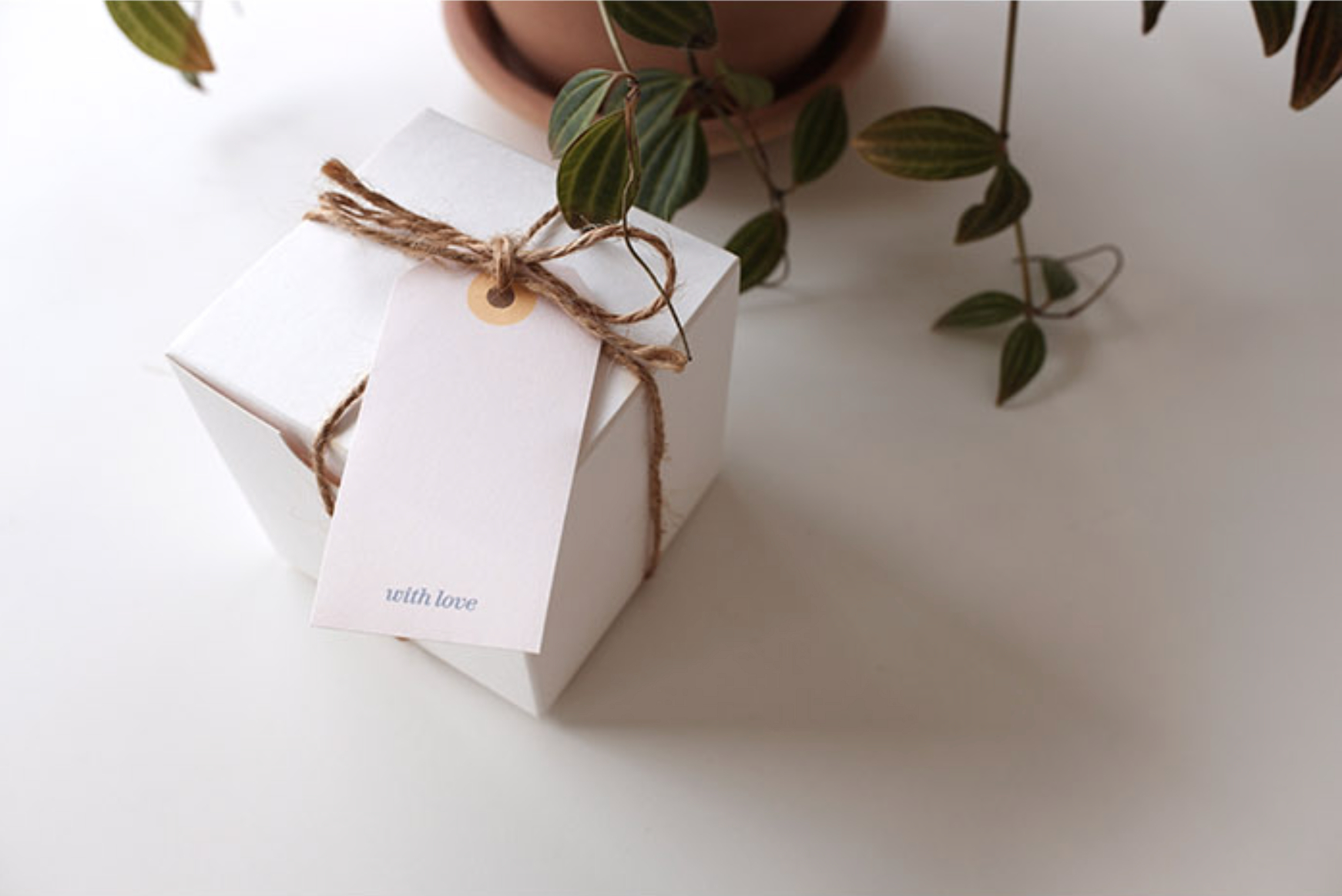 Suatelier Seal- On Point .07 - Smidapaper Ikigai Shop