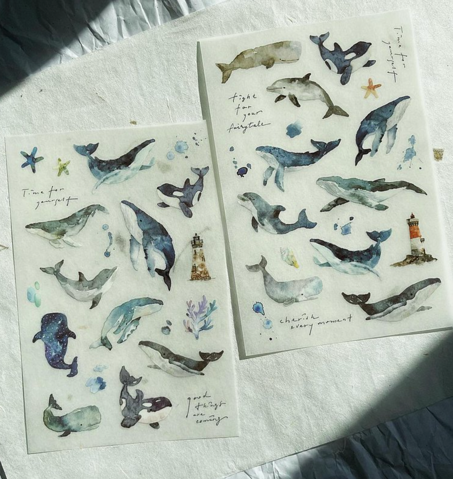Pion Whale Transfer Sticker (Pack of 2)