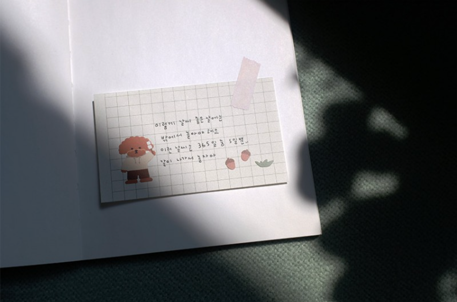 Suatelier Let's Go Camping Stickers