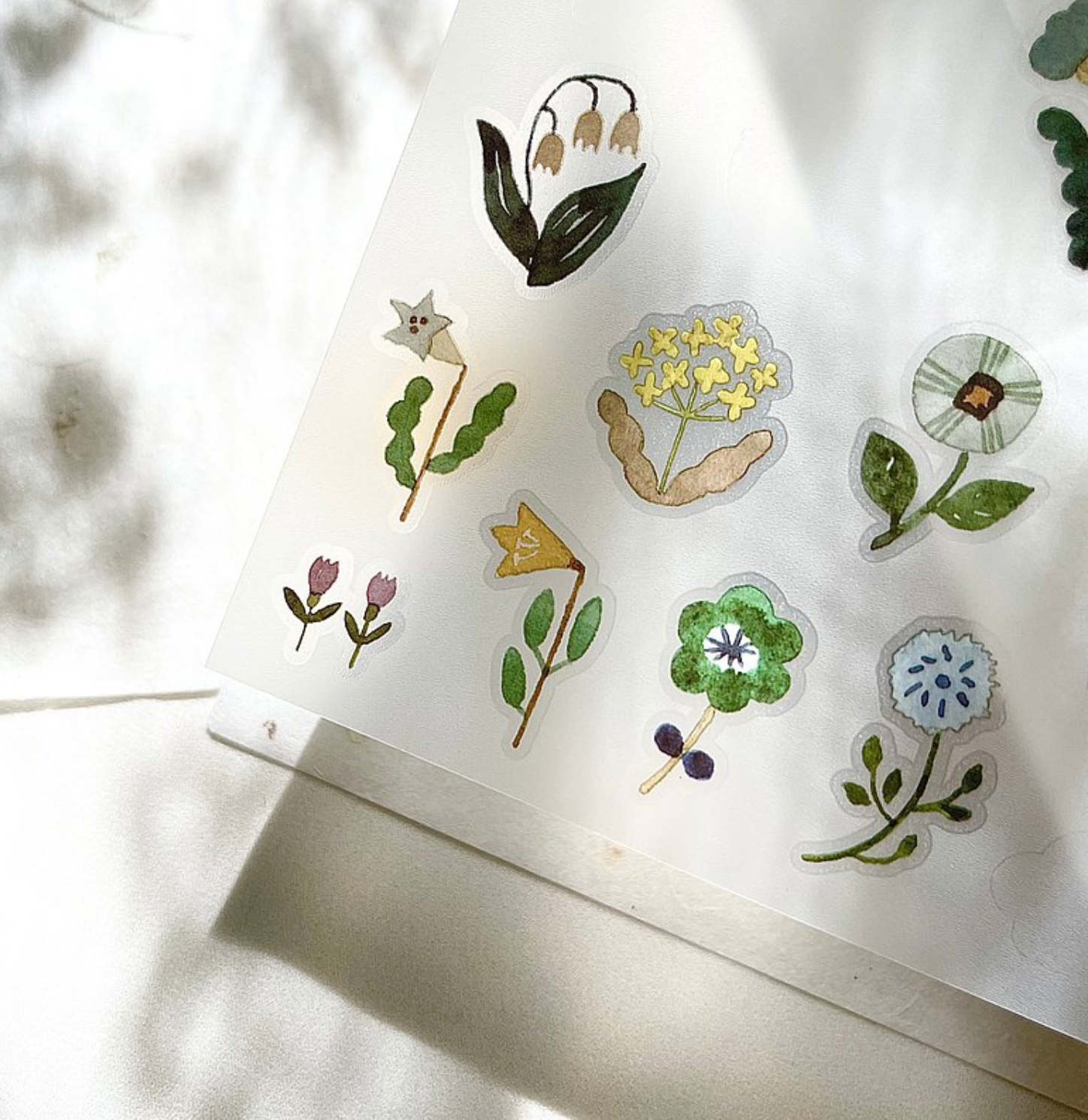 Pion Twilight Transfer Sticker (Pack of 2)
