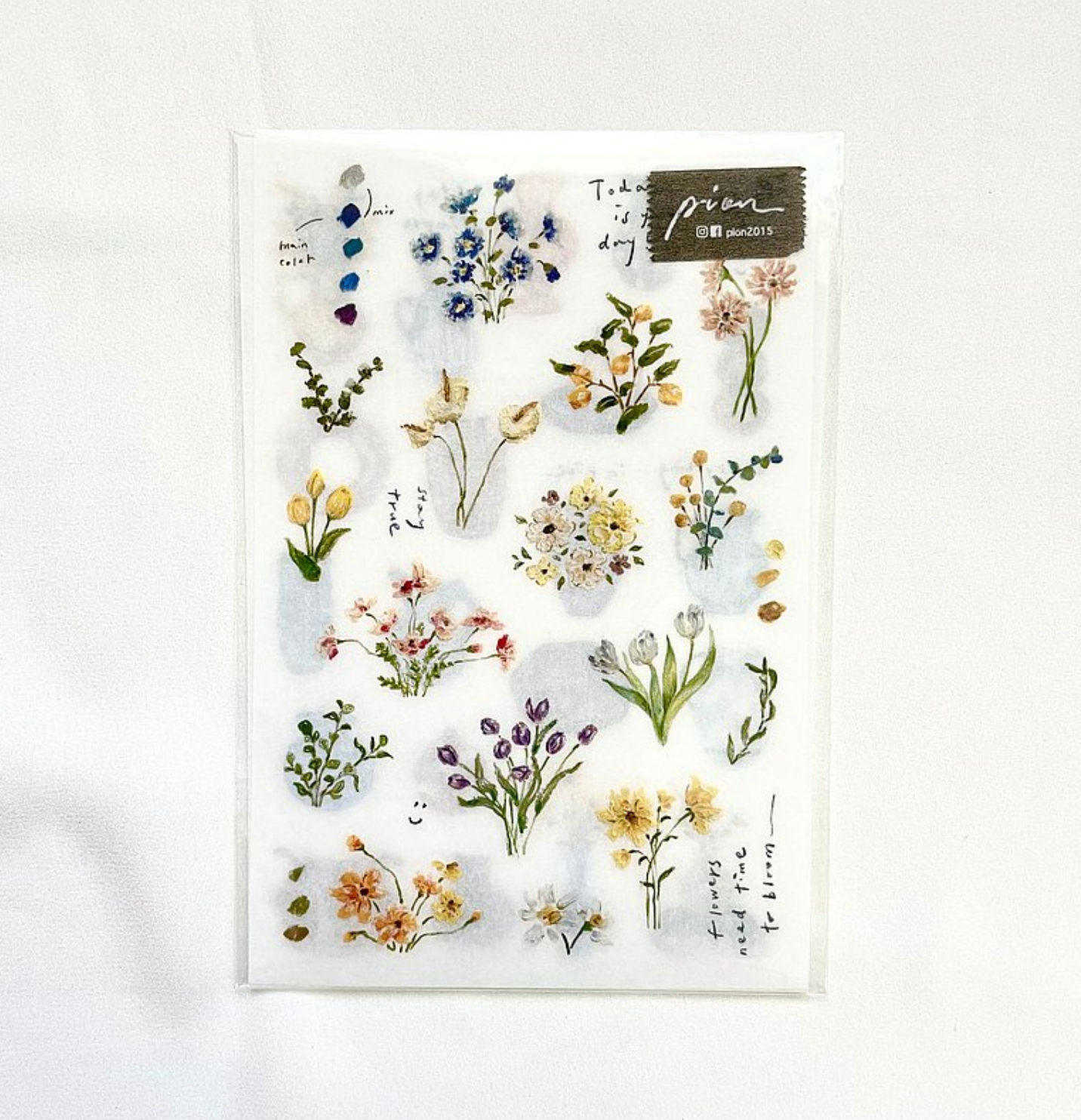 Pion Flowers of Spring Transfer Sticker (Pack of 2)