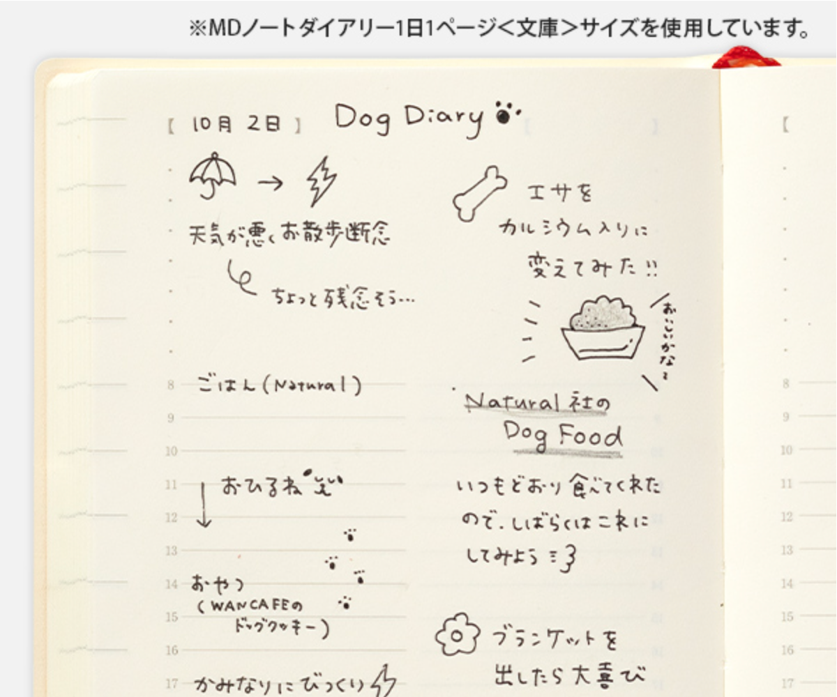 Midori 2023 MD 1 Day 1 Page Diary-A6