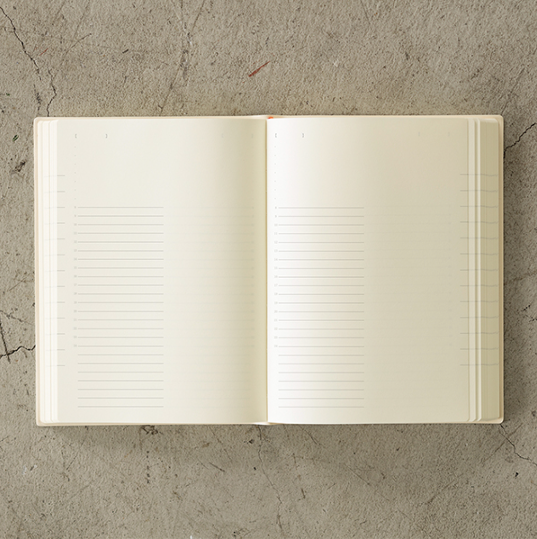 Midori 2023 MD 1 Day 1 Page Diary-A5