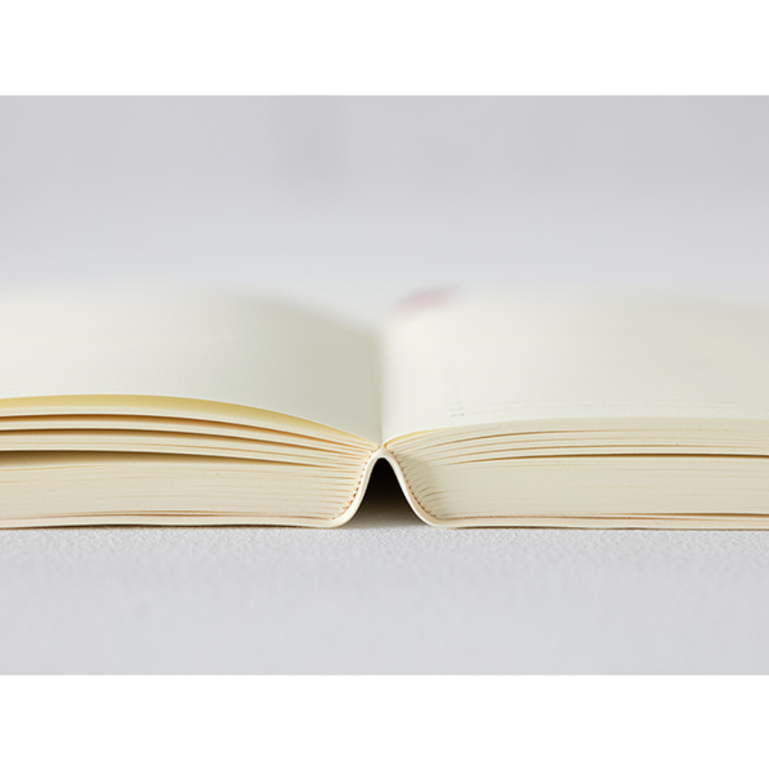 Midori 2023 MD 1 Day 1 Page Diary-A5