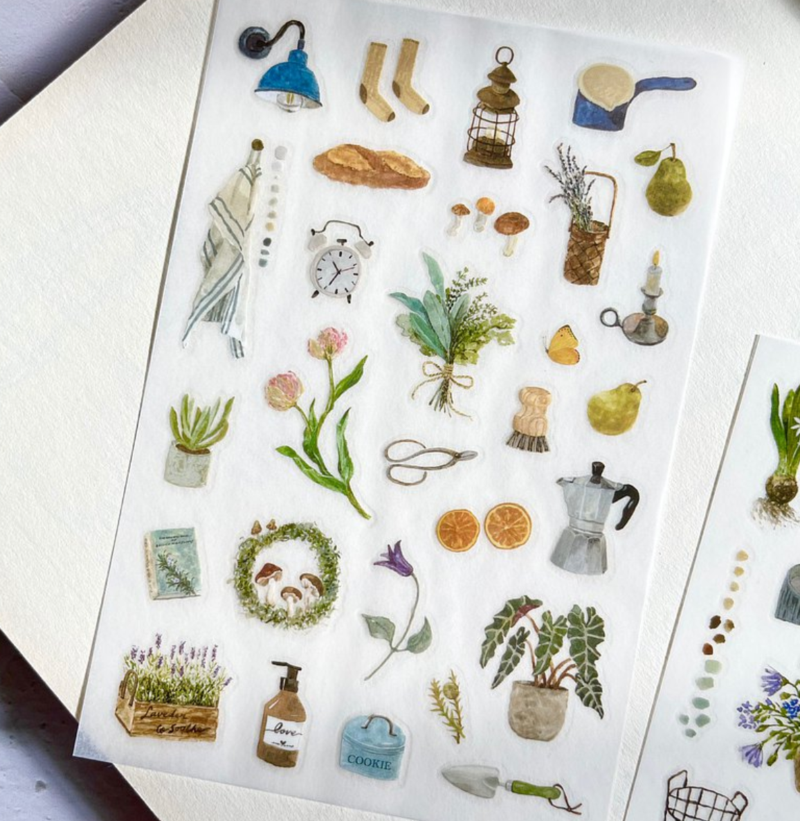 Pion Transfer Stickers (Pack of 2): Things
