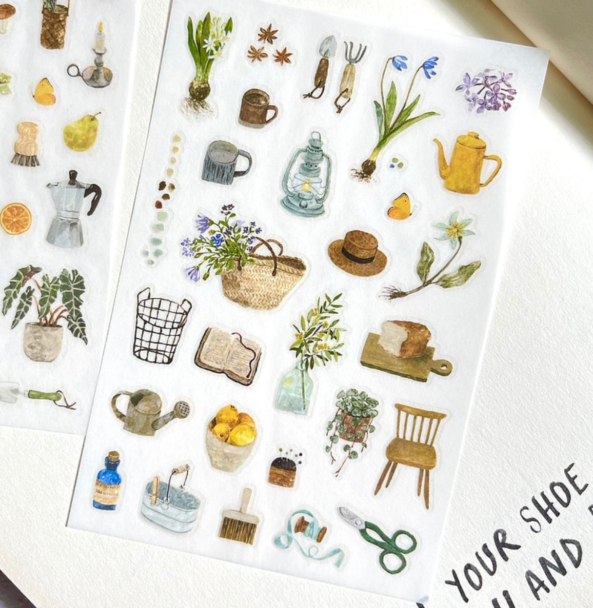 Pion Transfer Stickers (Pack of 2): Things