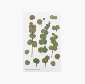 Appree Pressed Stickers- 002 Eucalyptus - Smidapaper Ikigai Shop