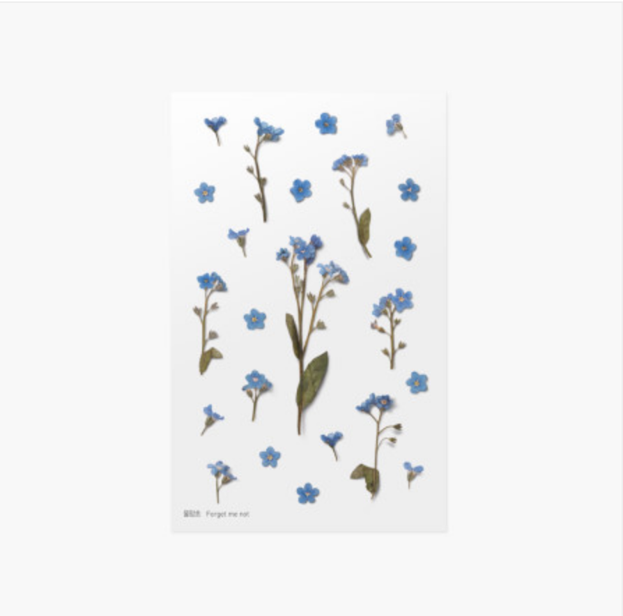 Appree Pressed Stickers- 005 Forget Me Not - Smidapaper Ikigai Shop