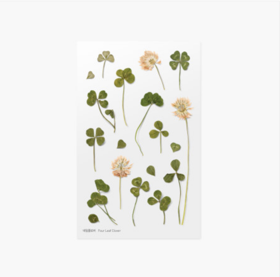 Appree Pressed Stickers- 006 Four Leaf Clover - Smidapaper Ikigai Shop