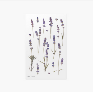 Appree Pressed Stickers- 008 Lavender - Smidapaper Ikigai Shop