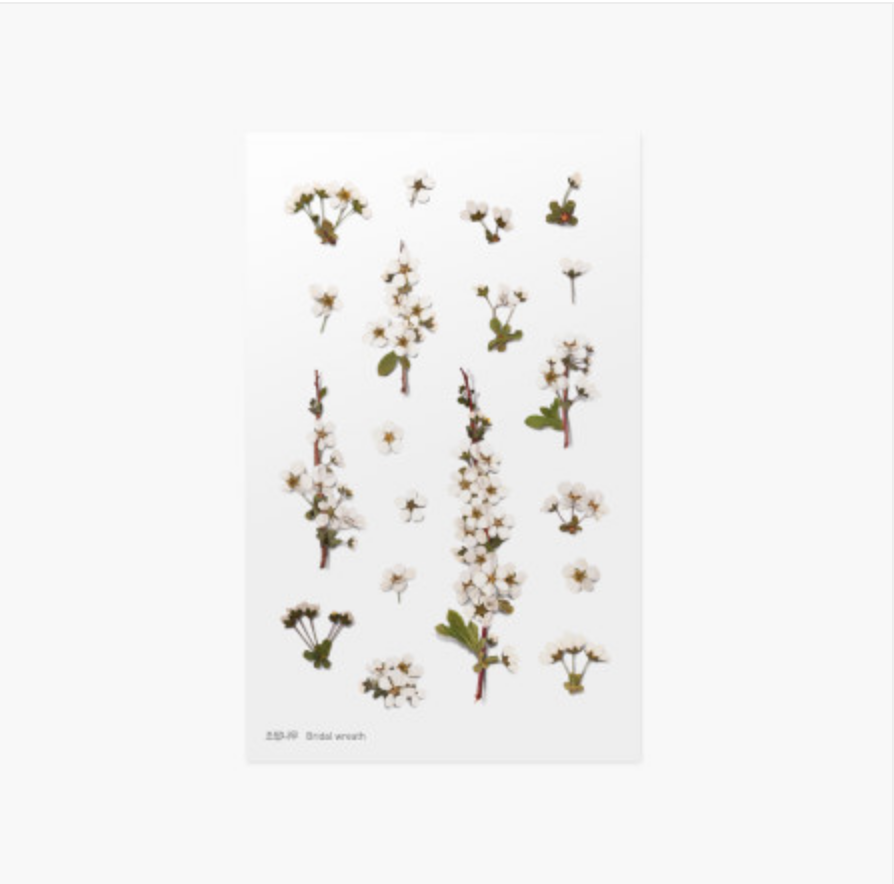 Appree Pressed Stickers- 010 Bridal Wreath - Smidapaper Ikigai Shop
