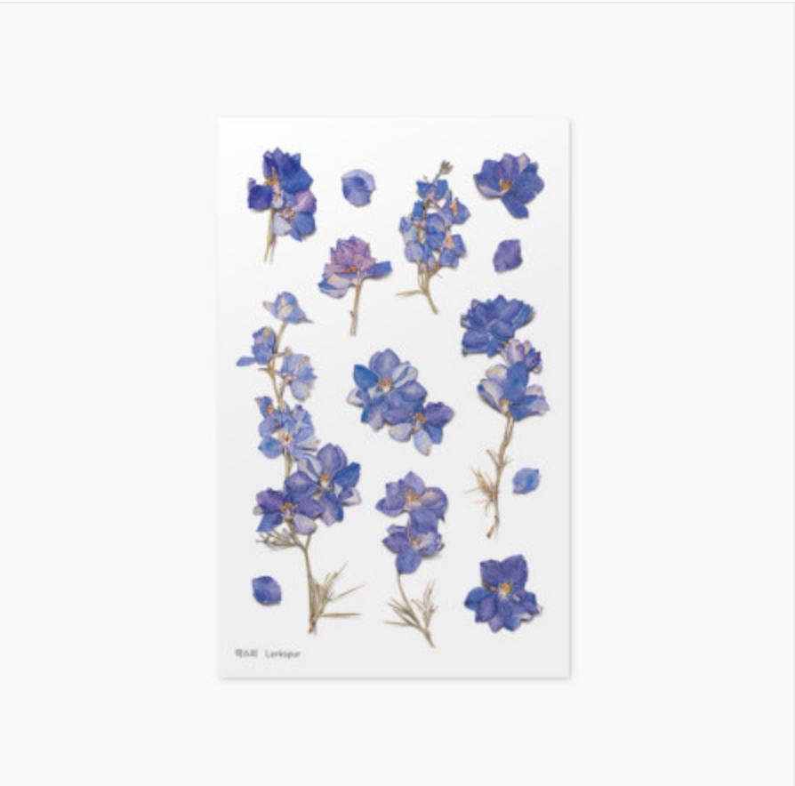 Appree Pressed Stickers- 012 Larkspur - Smidapaper Ikigai Shop