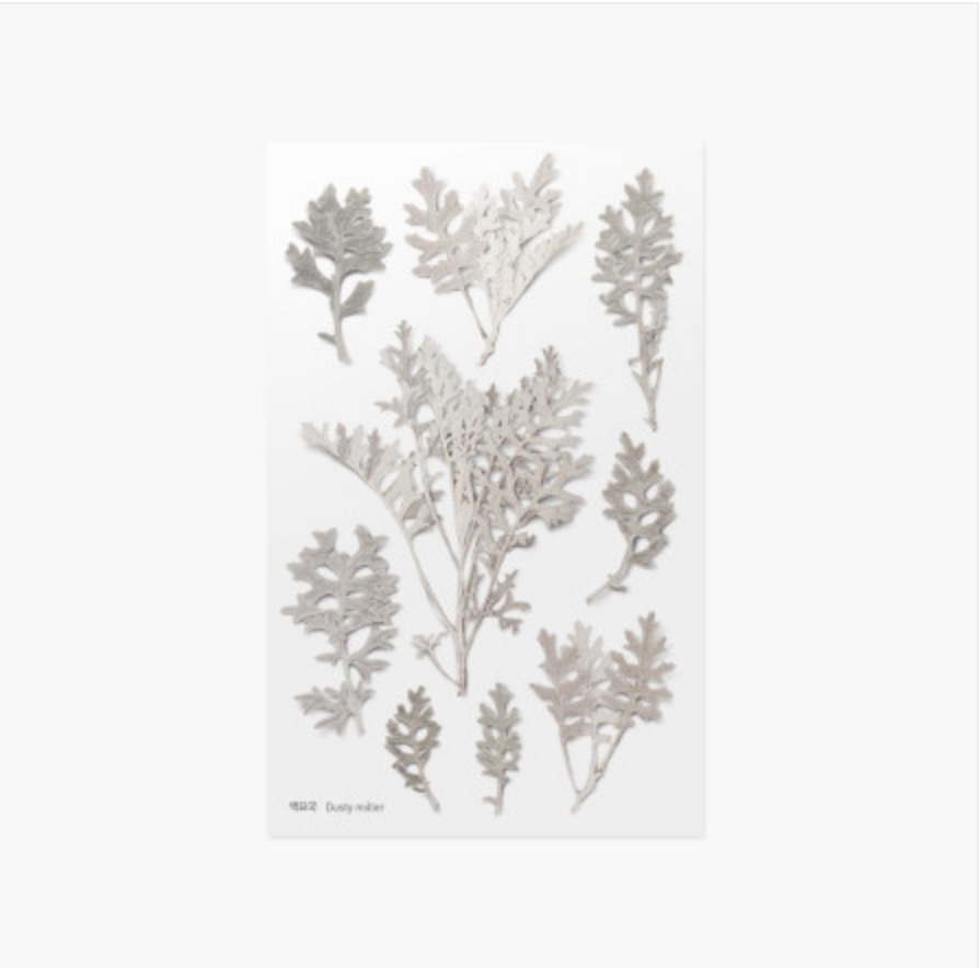 Appree Pressed Stickers- 018 Dusty Miller - Smidapaper Ikigai Shop