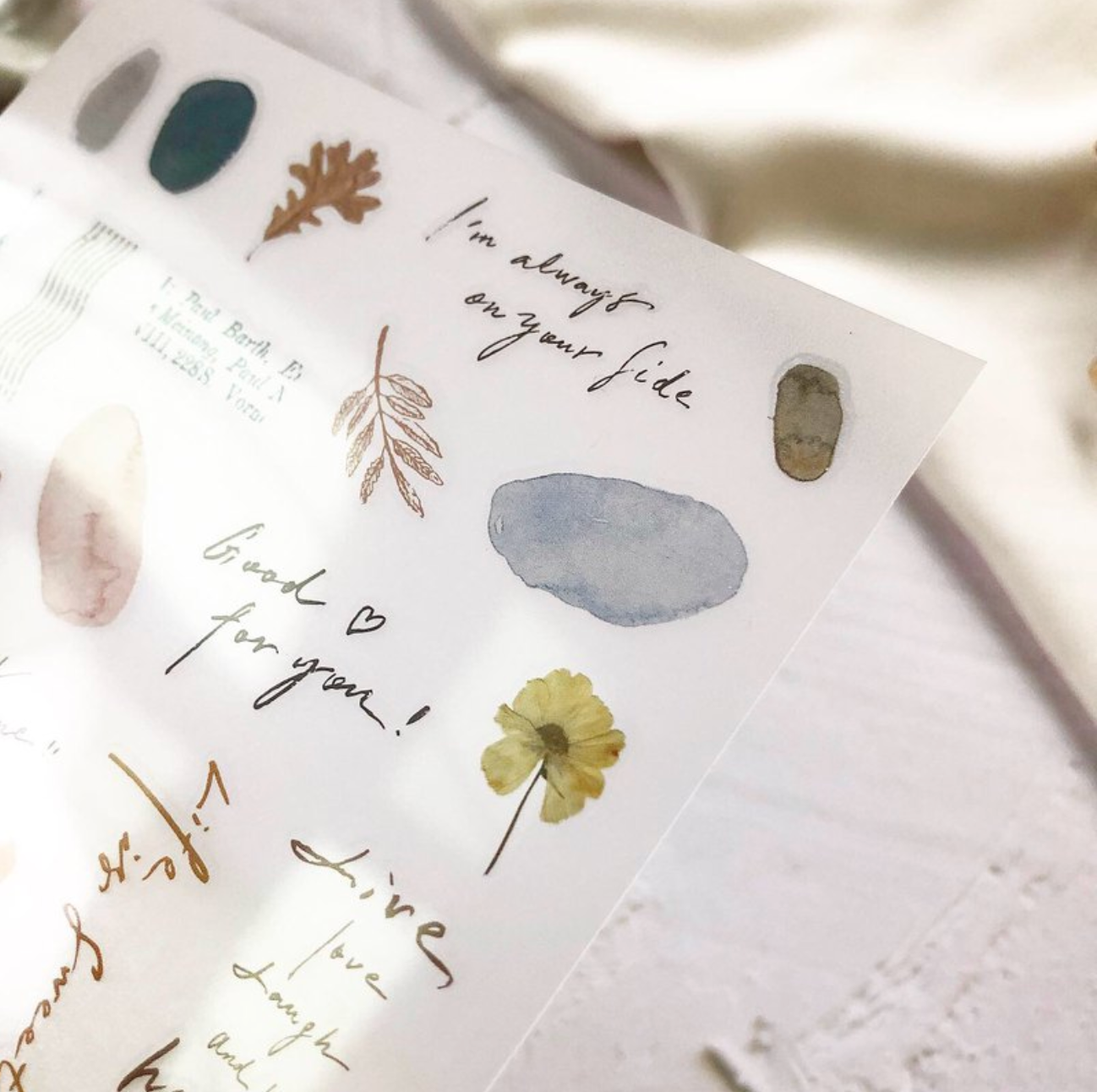 Pion Colour Block Transfer Sticker (Pack of 2) - Smidapaper Ikigai Shop