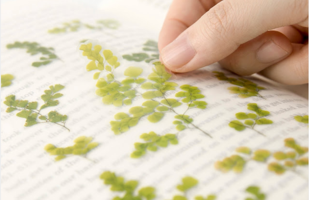 Appree Pressed Stickers- 021 Adiantum - Smidapaper Ikigai Shop