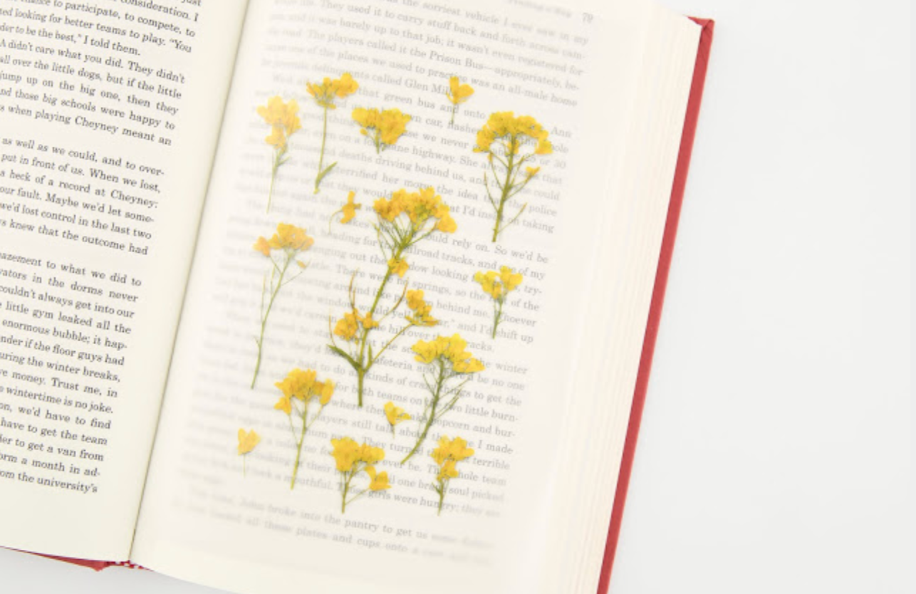 Appree Pressed Stickers- 020 Rapeseed Flower - Smidapaper Ikigai Shop